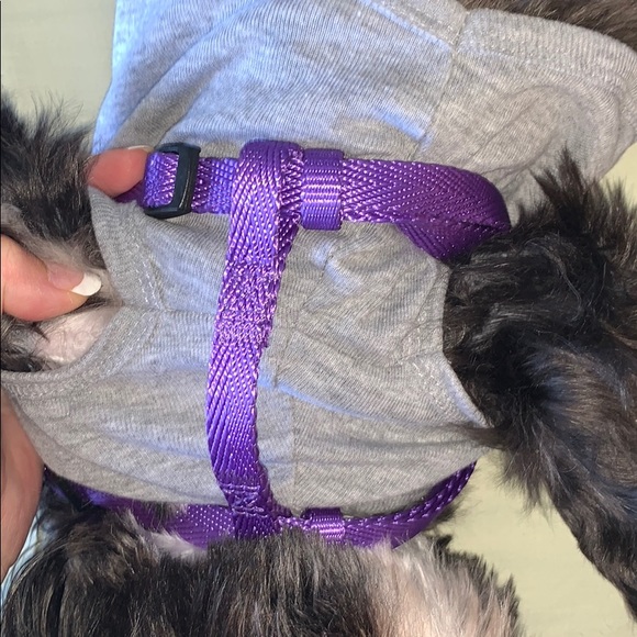 Dog Bundle 💜 - Picture 6 of 8